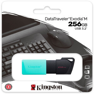 Memoria USB 256GB