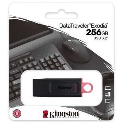 Memoria USB 256GB