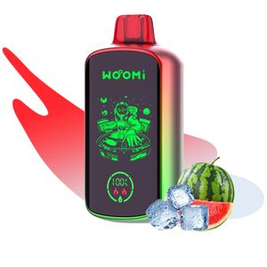 Vape 22000 puffs lush ice sandia