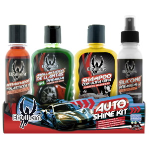Kit auto shine 4 articulos