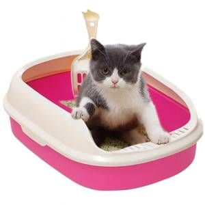 Baño pequeño con espatula rosado