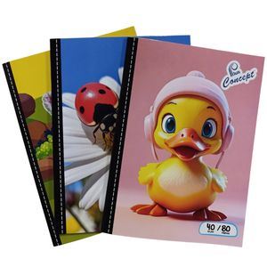 Cuaderno 40 hojas lineas FEM