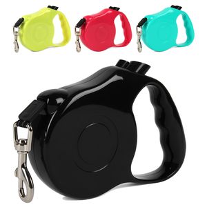 Correa automatica de 5 metros