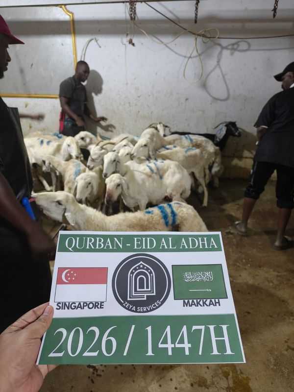 Makkah Qurban - Goat
