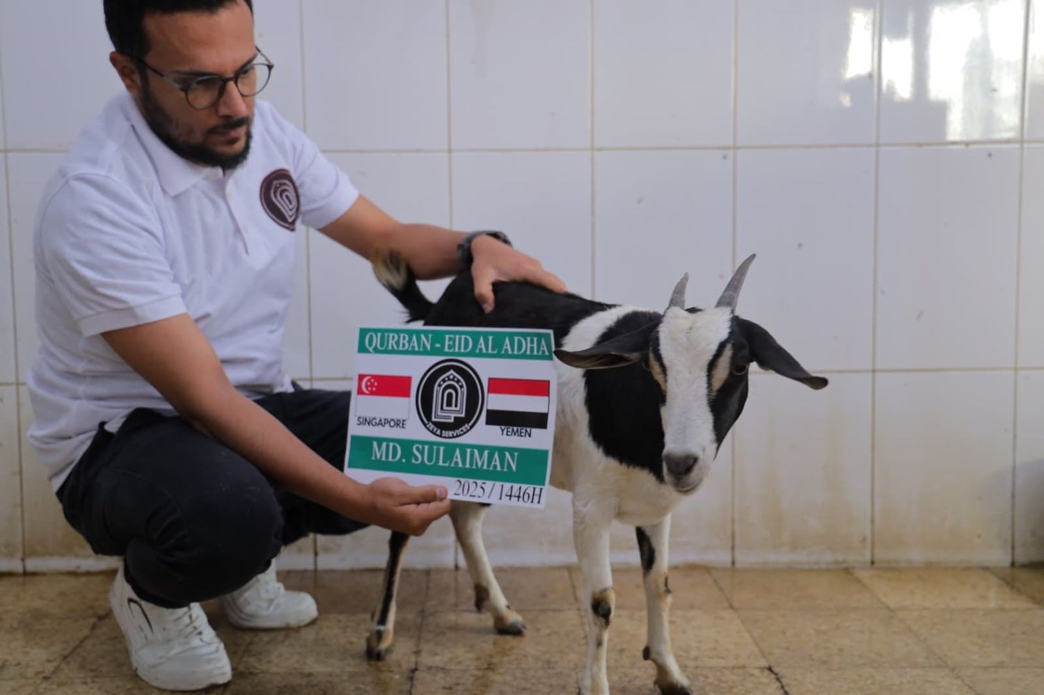 Yemen Qurban - Goat
