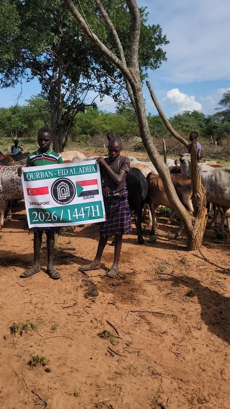 Sudan Qurban - Cow