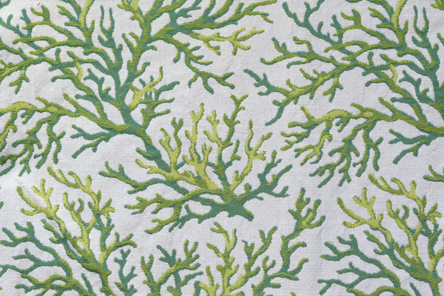 Staghorn Coral-Seaside (Indoor-Outdoor) Staghorn Coral-Seaside (Indoor-Outdoor)