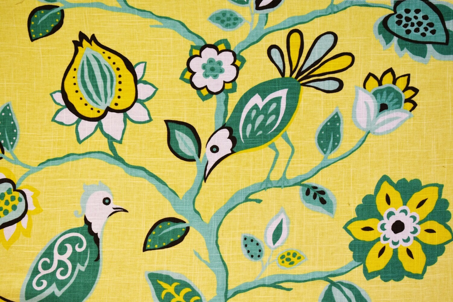 SE42530-Canary SE42530-Canary