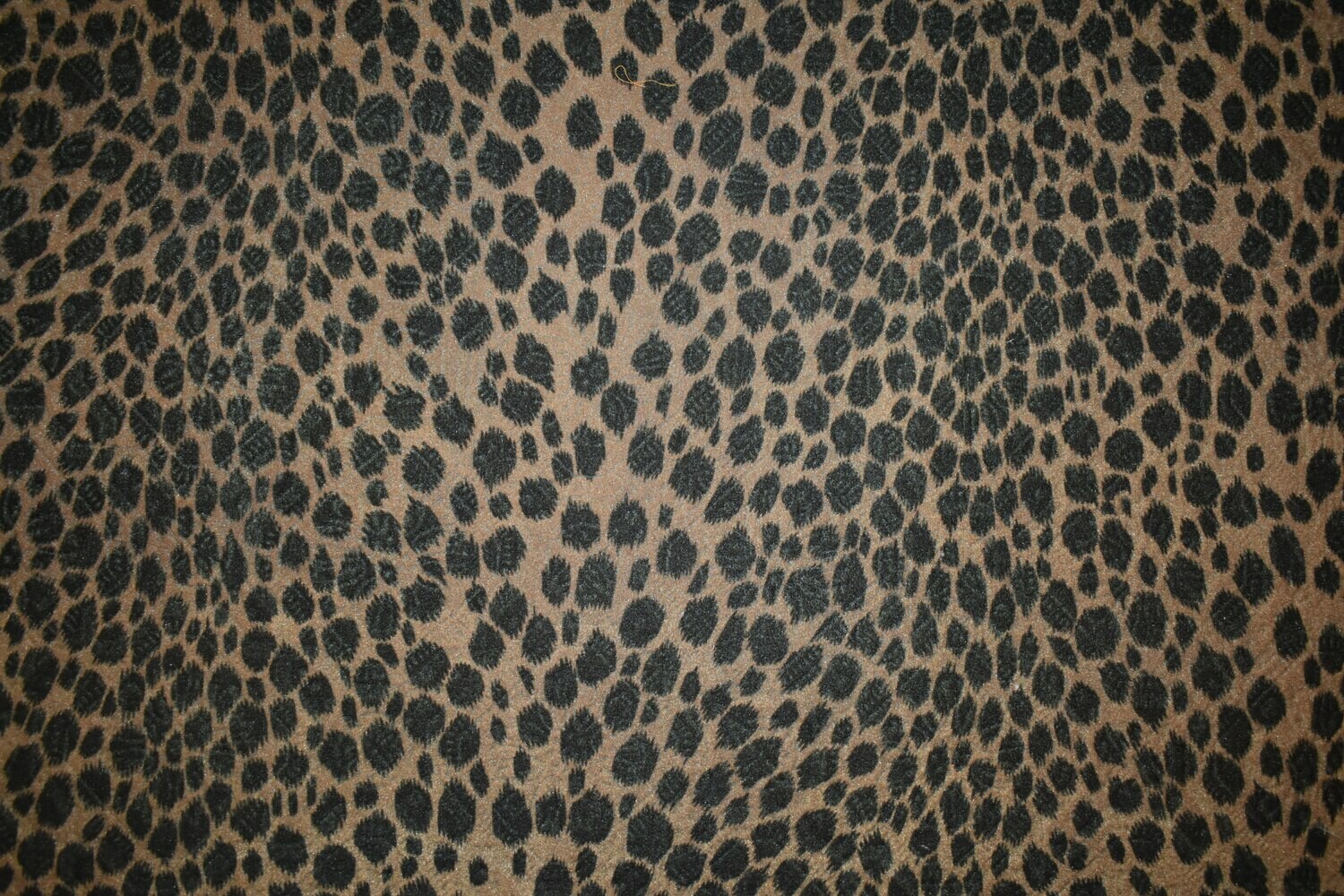 Excited leopard-Brown Shades