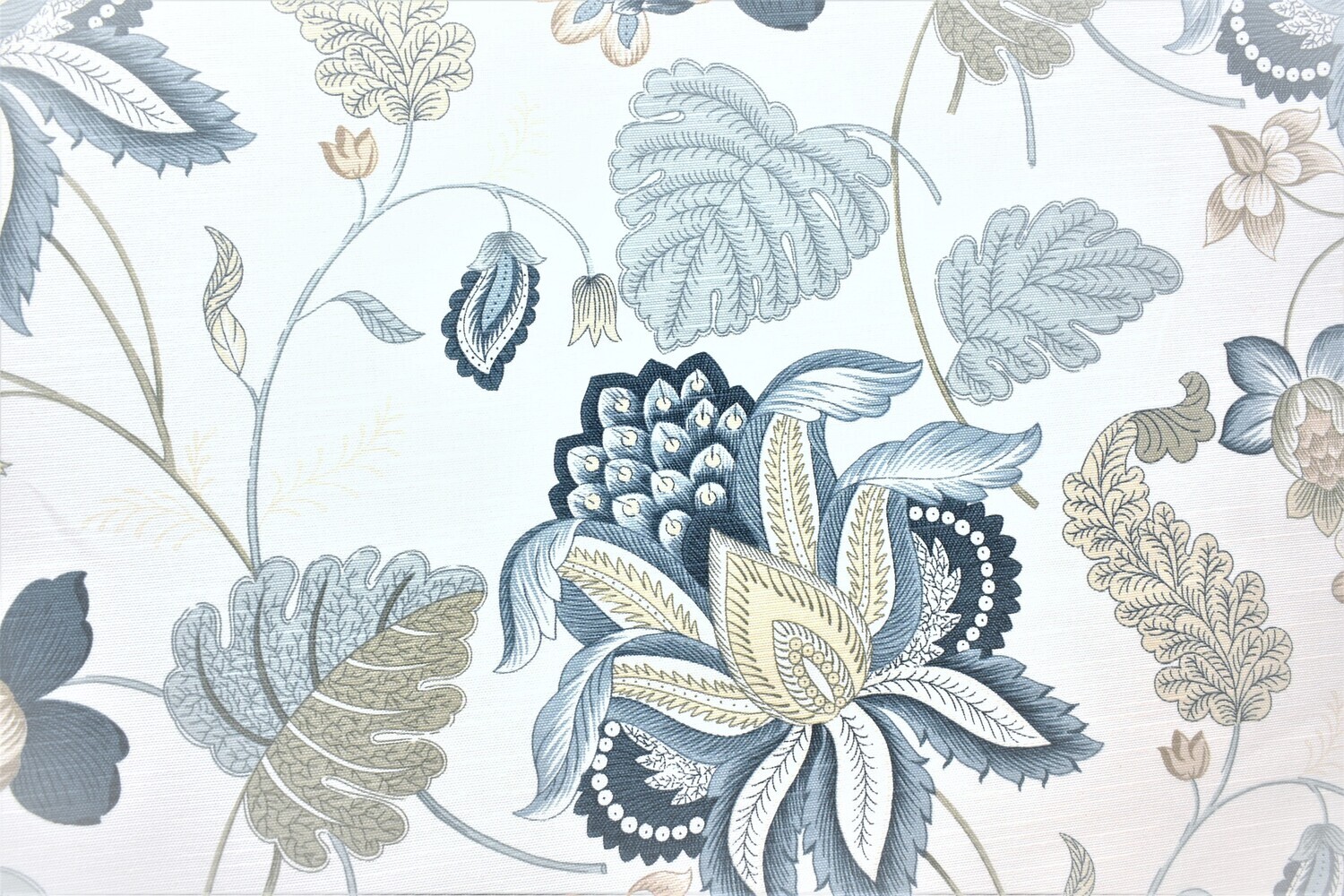 4252 Pure White Back Ground