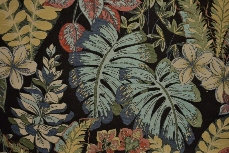 Rainforest-150 Mardi