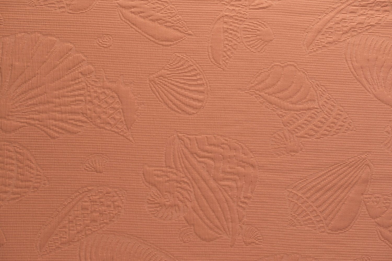 Shells-Peach Shells-Peach