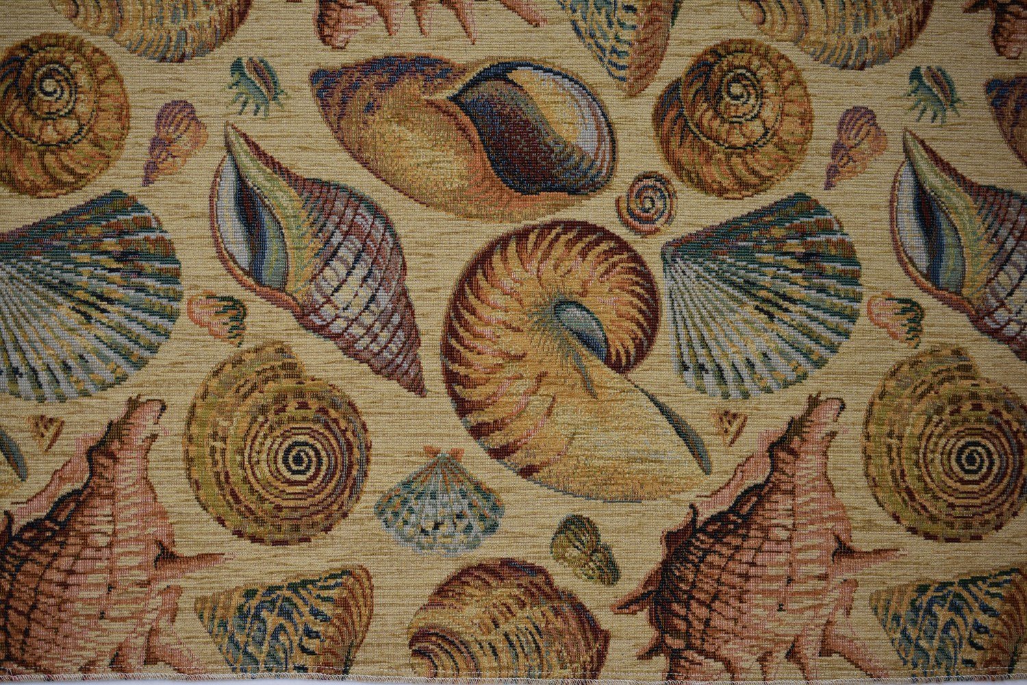 Shells 4319-Sand
