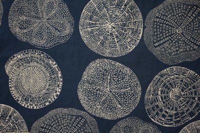 I need A Dollar-Deep Sea (yardage available) I need A Dollar-Deep Sea (yardage available)
