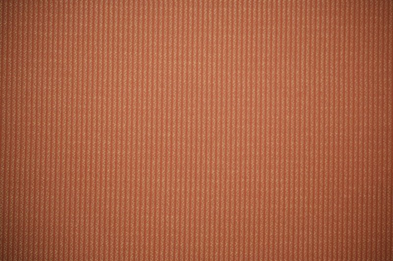 3541-Apricot (In-Outdoor)