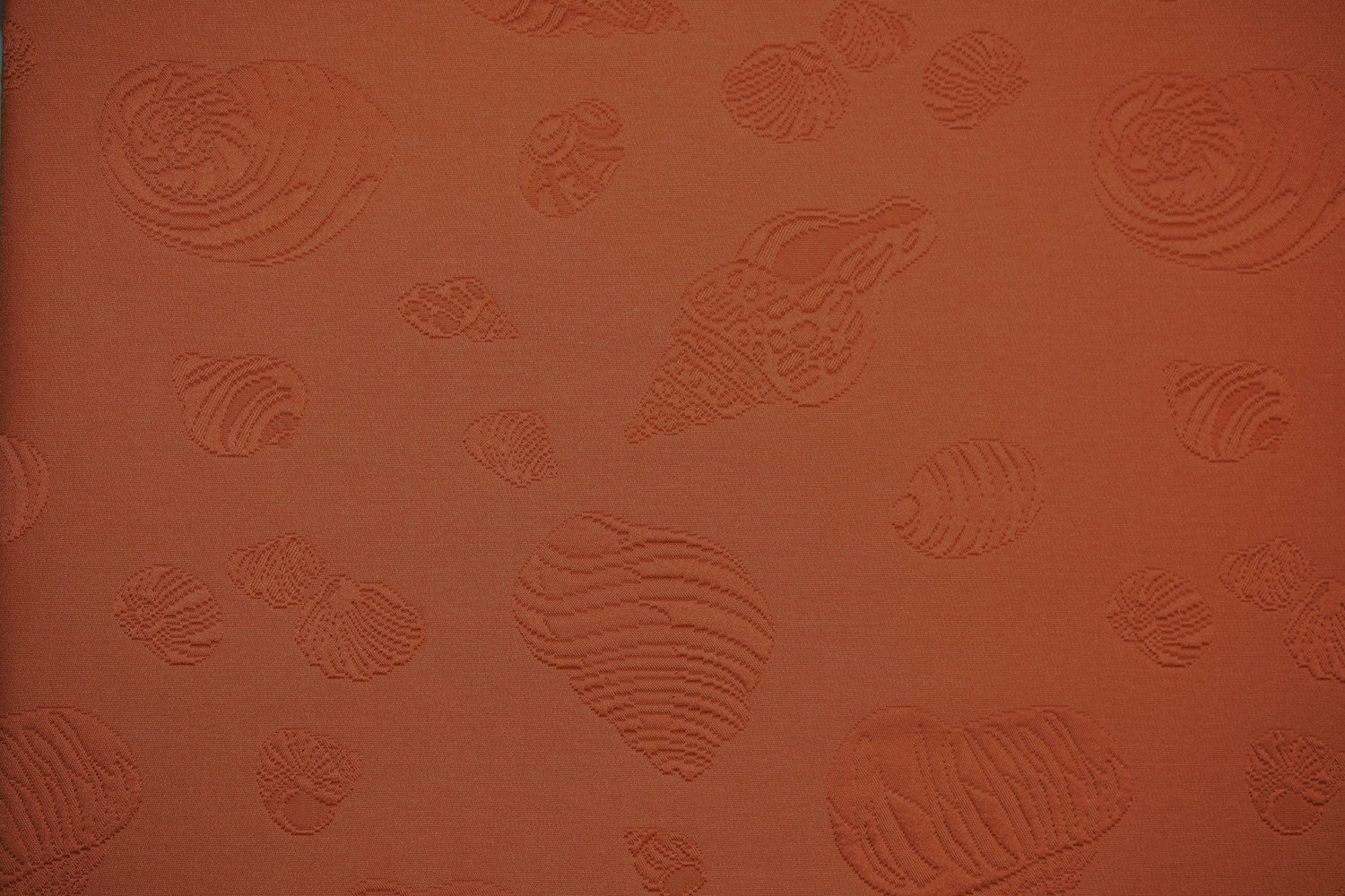 WF815-Tangerine WF815-Tangerine