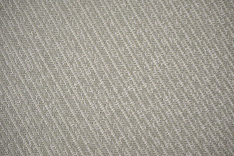 3781-Lichen    (Indoor-Outdoor)*