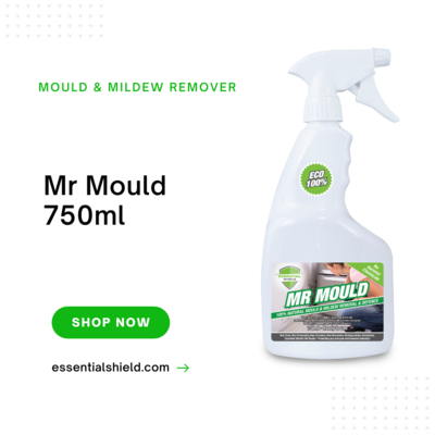Mr Mould 750ml