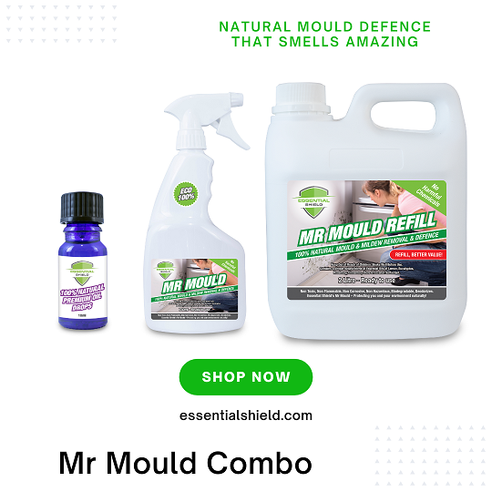 Mr Mould Combo