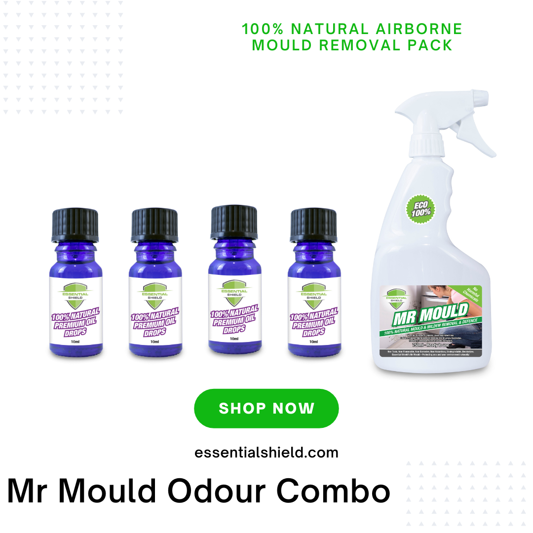 Mr Mould Odour Combo