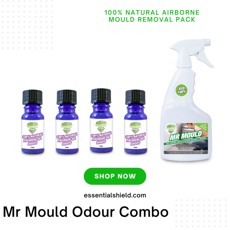 Mr Mould Odour Combo