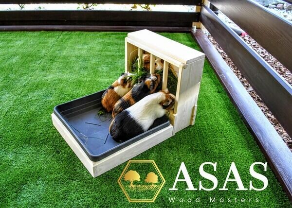 AsasWOOD