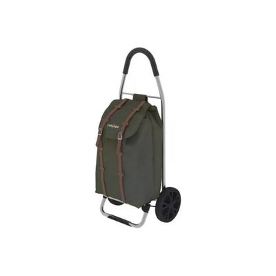 Colombo Dakar CRL004 Carrello Portaspesa Pieghevole 50 L Verde Colombo Dakar CRL004 Carrello Portaspesa Pieghevole 50 L Verde
