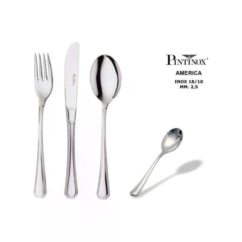 PINTINOX America – Cucchiaino da Caffè in Acciaio Inox 18/10