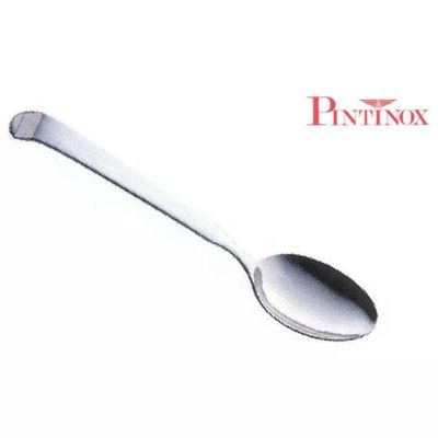 PINTINOX Pinti Astra Cucchiaio da Servizio in Acciaio Inox, 24 cm