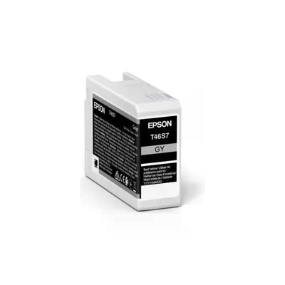 Epson UltraChrome Pro 10 Cartuccia Grigia 25 ml C13T46S700 Epson UltraChrome Pro 10 Cartuccia Grigia 25 ml C13T46S700