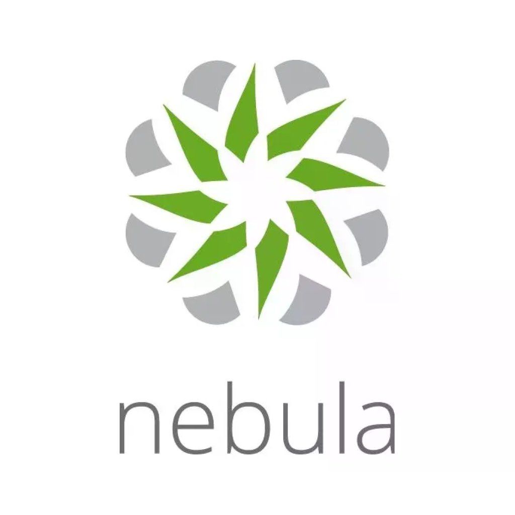 Zyxel Nebula Professional Pack LIC-NPRO-ZZ1Y00F – Licenza Cloud 1 anno