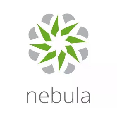 Zyxel Nebula Professional Pack LIC-NPRO-ZZ1Y00F – Licenza Cloud 1 anno