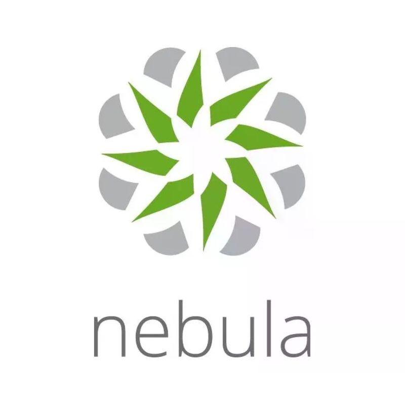 Zyxel Nebula Professional Pack LIC-NPRO-ZZ1Y00F – Licenza Cloud 1 anno