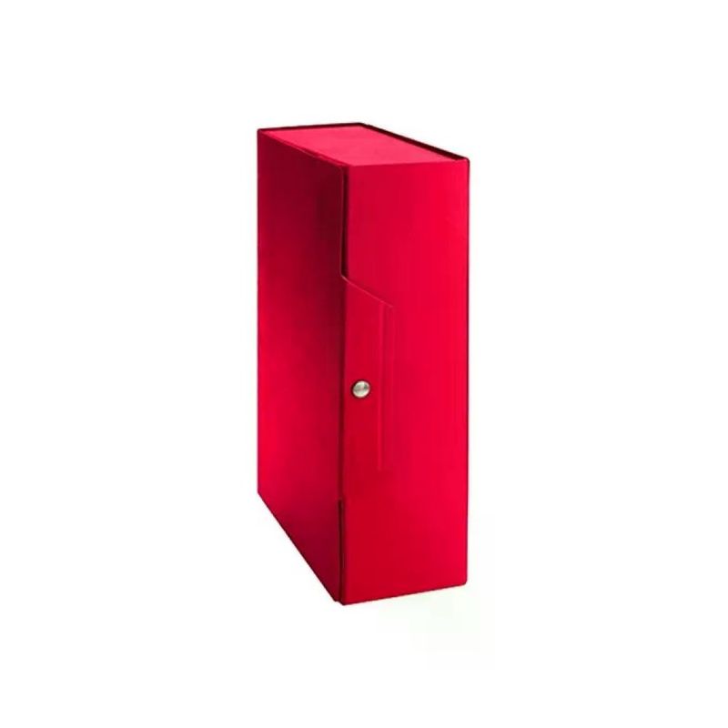 Brefiocart Cartelle Progetto Rosse, Dorso 6 cm, 25 × 35 cm, Confezione da 5