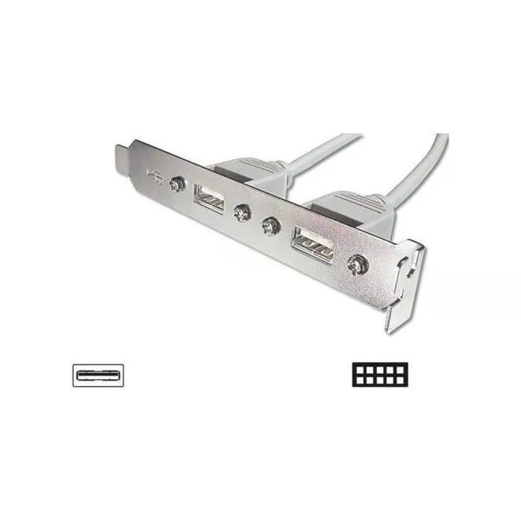 DIGITUS Pannello slot con 2 porte USB-A femmina