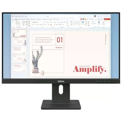LENOVO Monitor Lenovo ThinkVision E24-40 23,8" Full HD