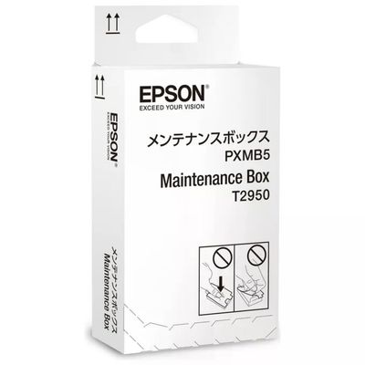 Epson T2950 Maintenance Box per WorkForce WF-100W