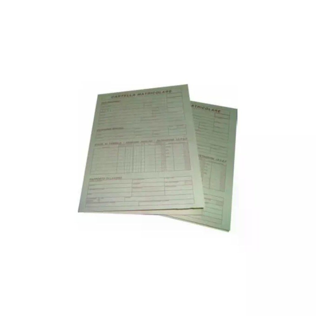 Edipro E6001 Cartelle a Busta Matricolari 32 x 23 cm, 50 Pezzi