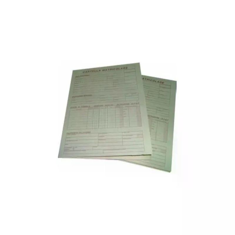 Edipro E6001 Cartelle a Busta Matricolari 32 x 23 cm, 50 Pezzi Edipro E6001 Cartelle a Busta Matricolari 32 x 23 cm, 50 Pezzi
