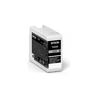 Epson Cartuccia Epson UltraChrome Pro T46S9 Grigio Chiaro, 25 ml