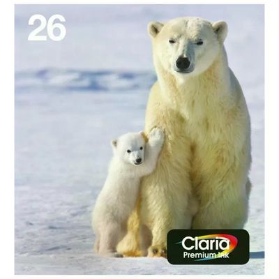 Epson 26 Polar Bear Multipack – 4 cartucce originali EasyMail