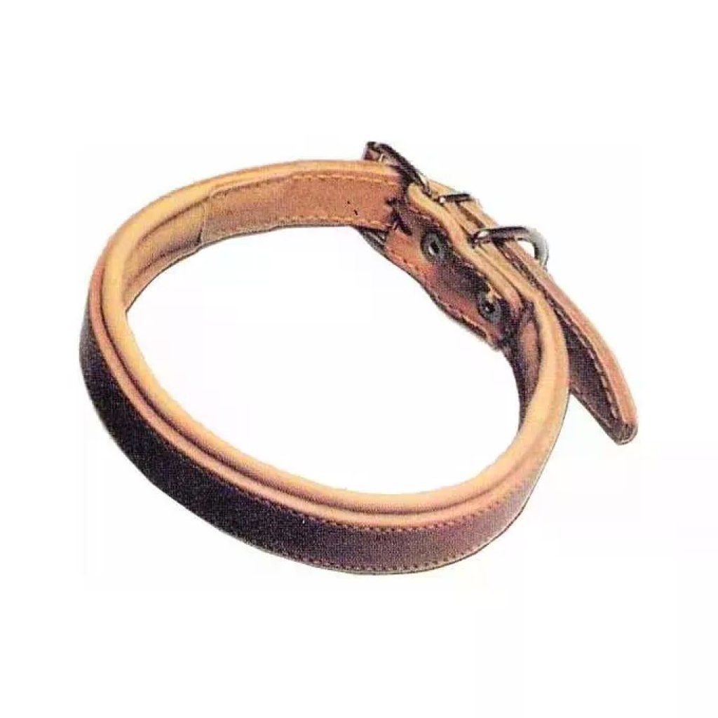 Eurocuoio Collare Imbottito in Cuoio per Cani, 65 cm × 3,5 cm