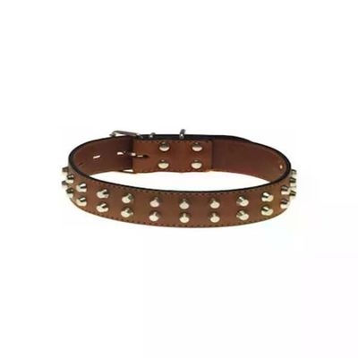 Eurocuoio Collare per Cani in Cuoio con Doppia Fila di Borchie, 4 x 70 cm