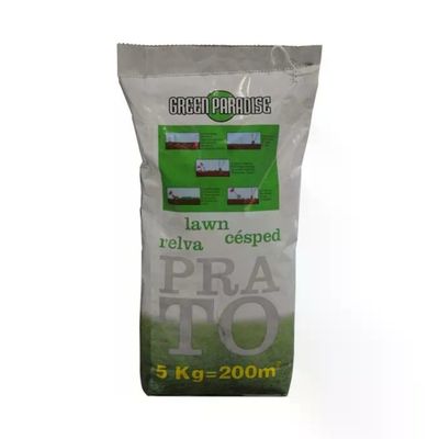 Sunflower Green Paradise – Sementi per Prato Universale, 5 kg