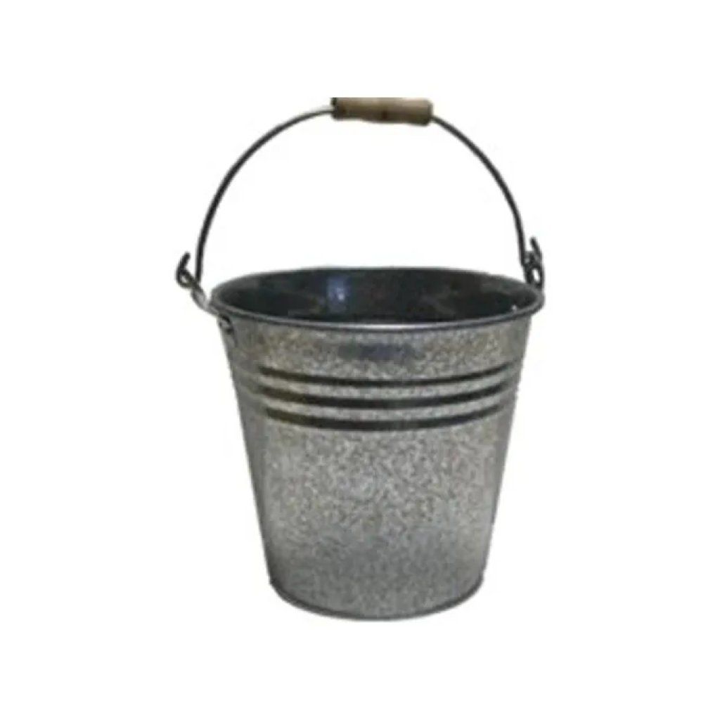 Lady Doc Secchio Zincato 10 L con Manico in Ferro
