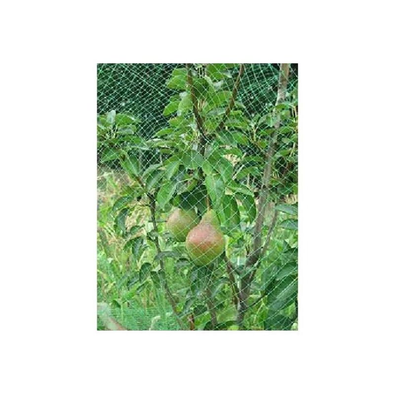 TENAX Ortoflex rete antiuccelli verde 2 x 5 m