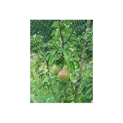 TENAX Ortoflex Rete Antiuccelli Verde 2 x 5 m