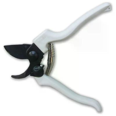 Ausonia 31145 Forbice da Vigna 19 cm con Lama in Acciaio Teflonata