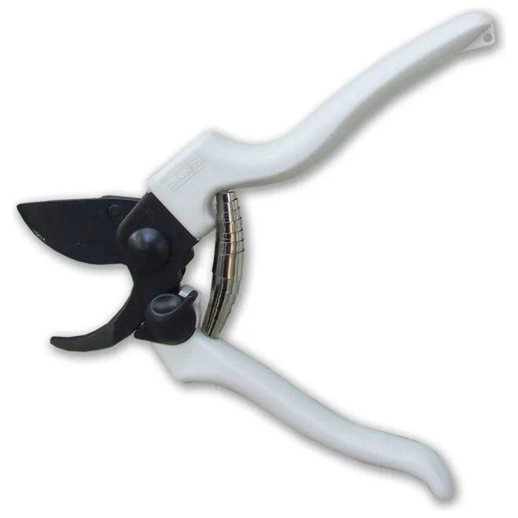Ausonia 31145 Forbice da Vigna 19 cm con Lama in Teflon