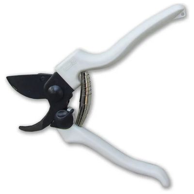 Ausonia 31145 Forbice da Vigna 19 cm con Lama in Teflon